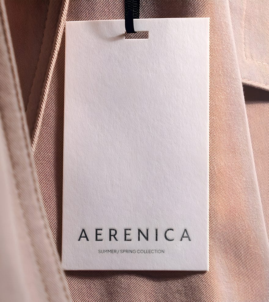 Schermata dal sito web di Aerenica