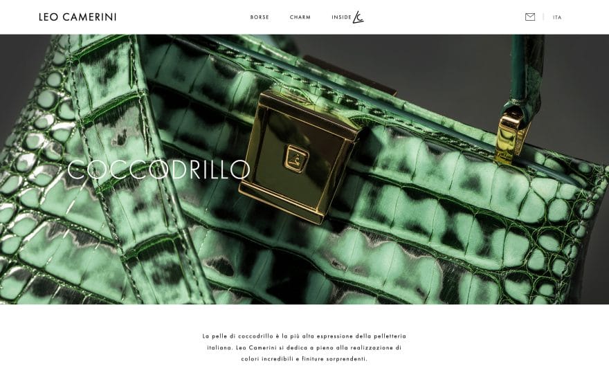 Schermata dal sito web di Leo Camerini