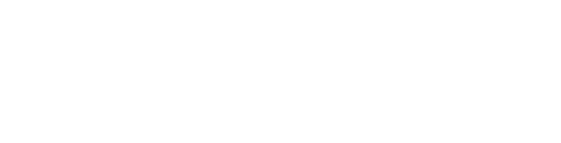 Raleway Font