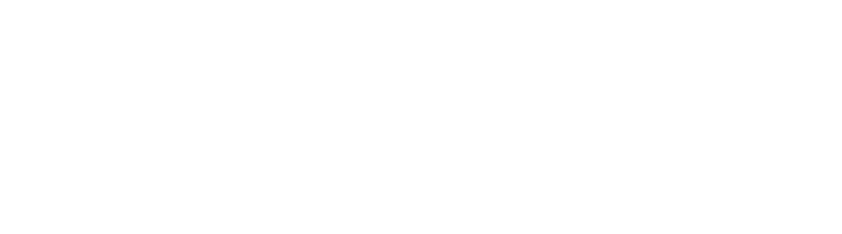 Raleway Font
