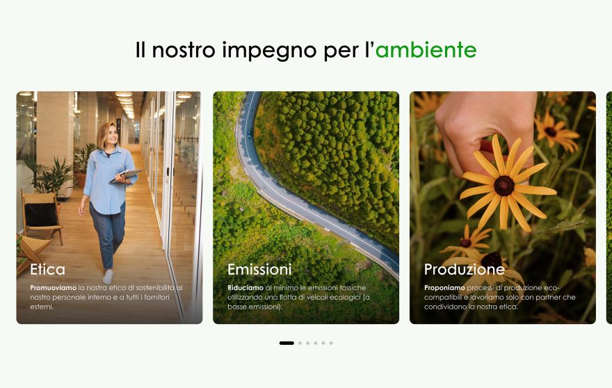Schermata dal sito web di Pardgroup