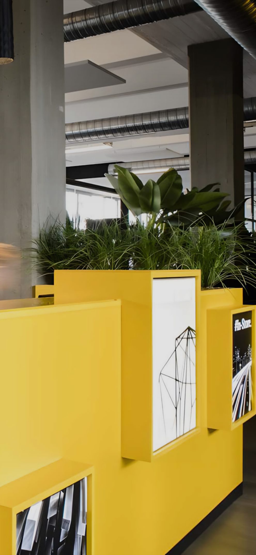 Pardgroup: Il racconto digitale del gruppo leader del retail marketing.