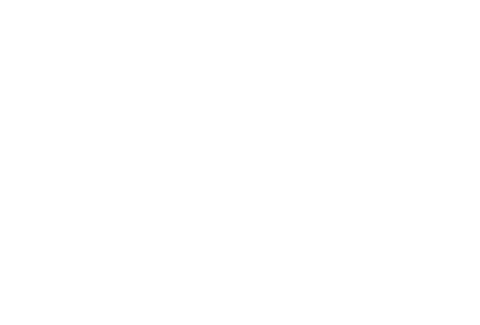 Logo Leo Camerini: Handcrafted luxury crocodile peacock handbags borse coccodrillo pavone