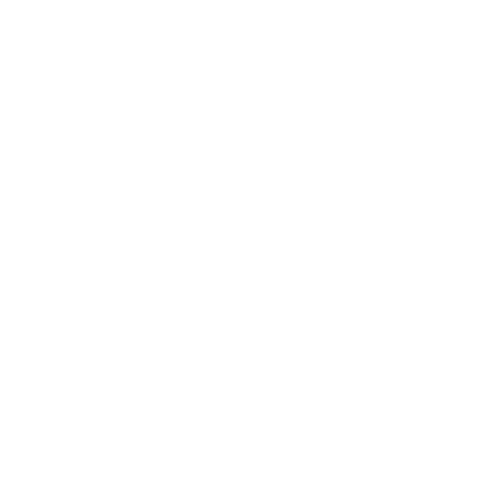 Logo Pardgroup: Field Marketing & Global Retail Solutions